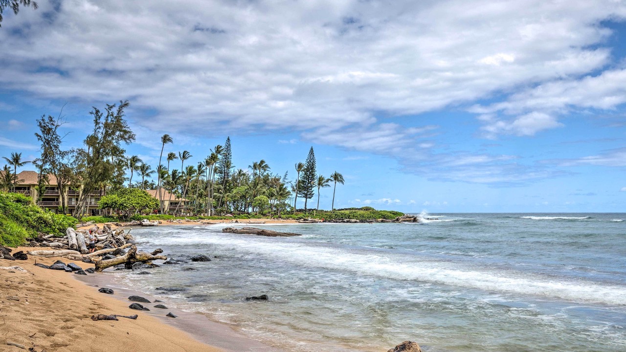 Photo of Others in Wailua