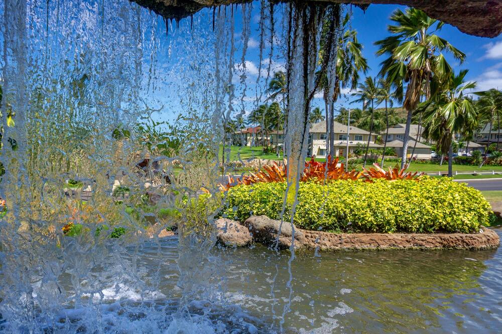 Photo of Others in Ko Olina