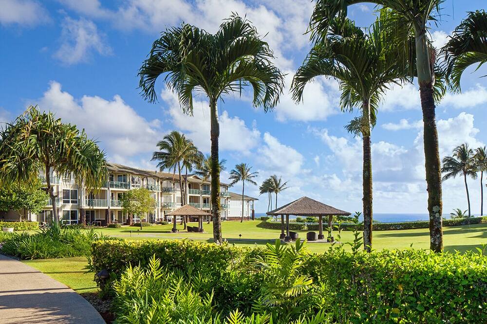 Photo of Others in Princeville