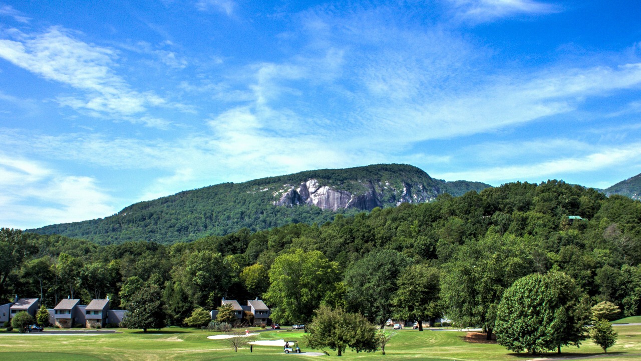Photo of Others in Stonecrest
