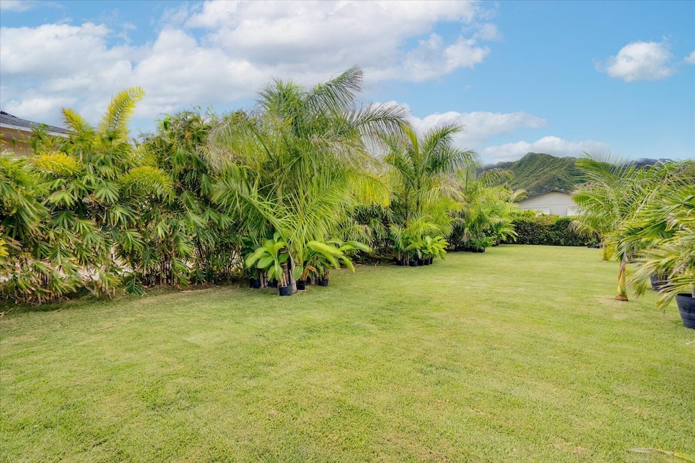 Photo of Others in Hauula