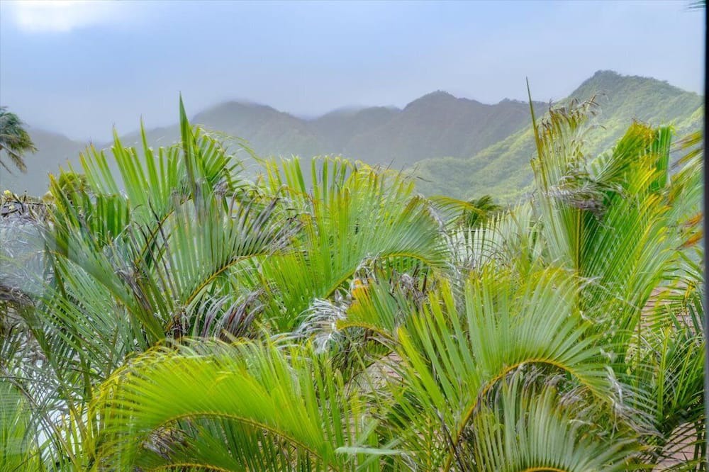 Photo of Others in Hauula