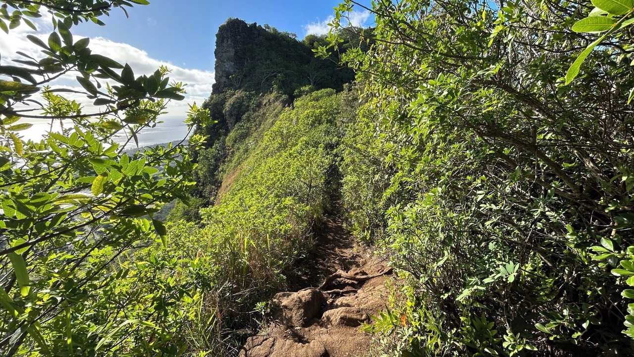 Photo of Others in Wailua