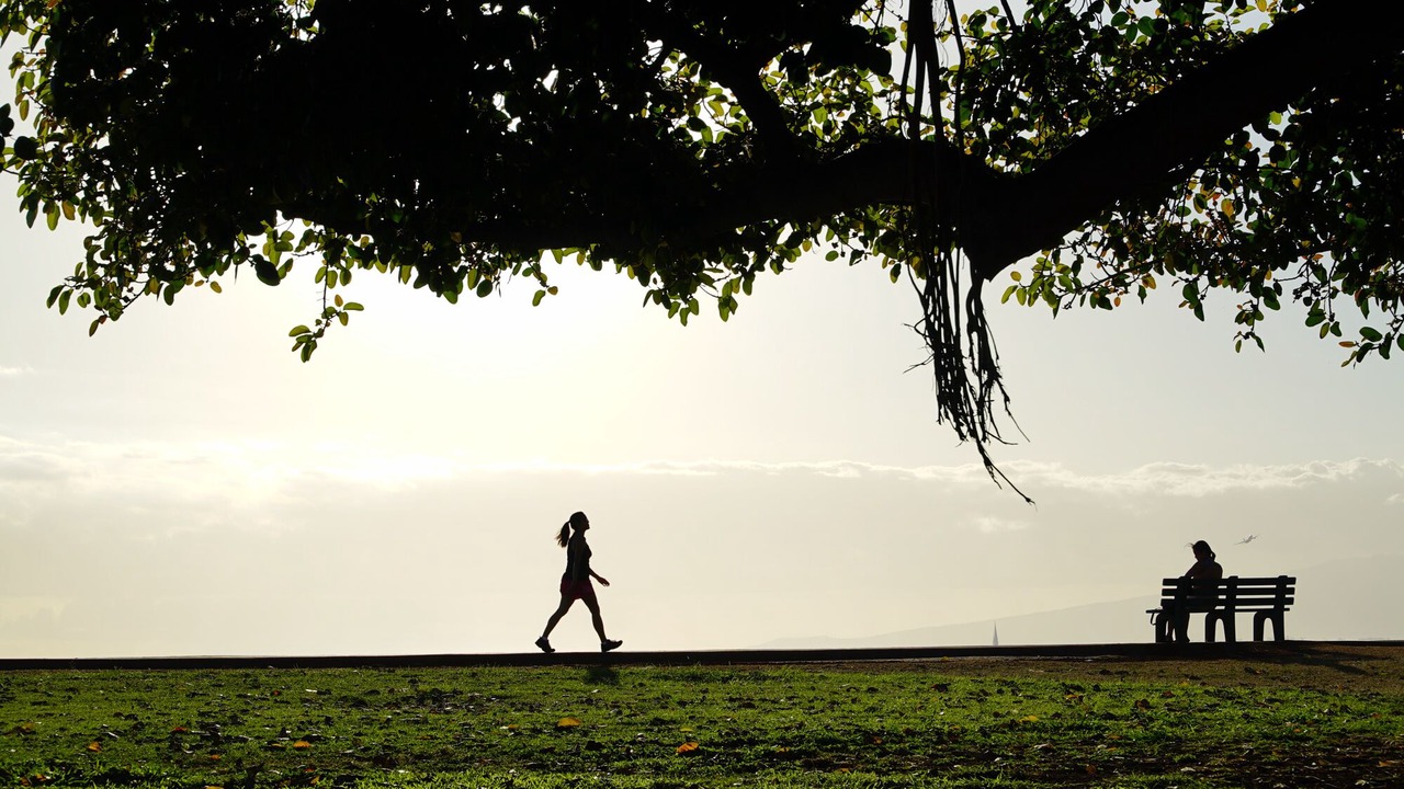 Photo of Others in Ala Moana
