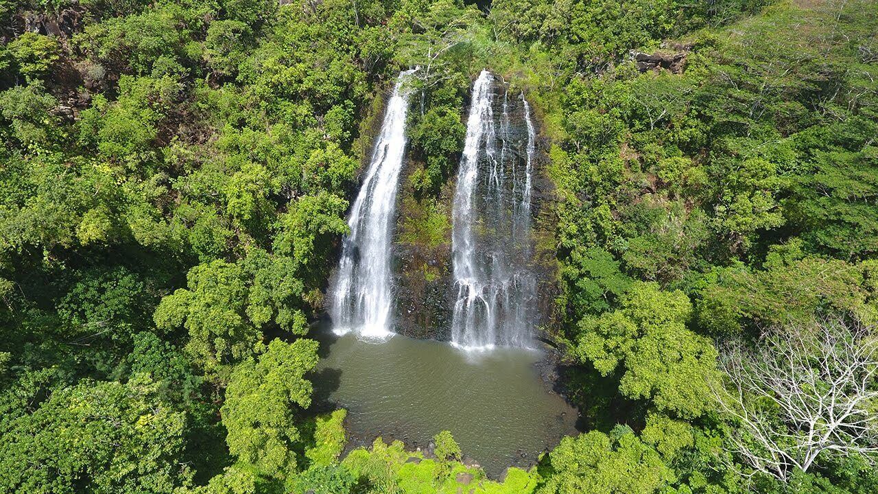 Photo of Outdoor in Wailua