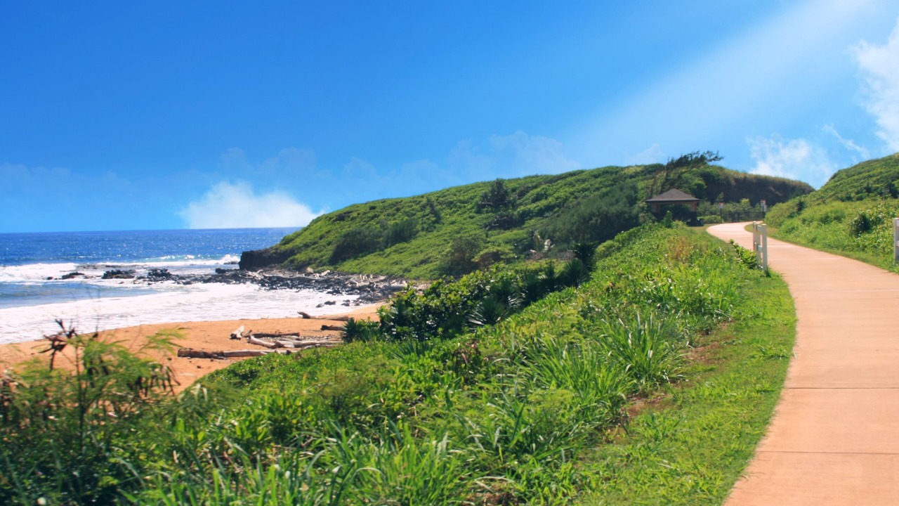 Photo of Others in Wailua