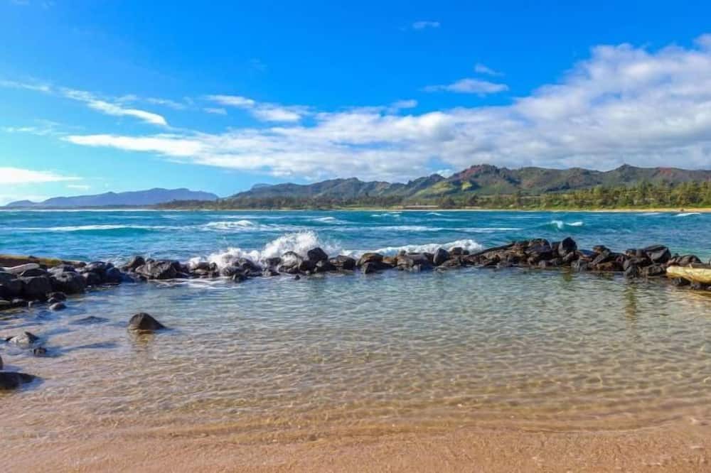 Photo of Outdoor in Wailua