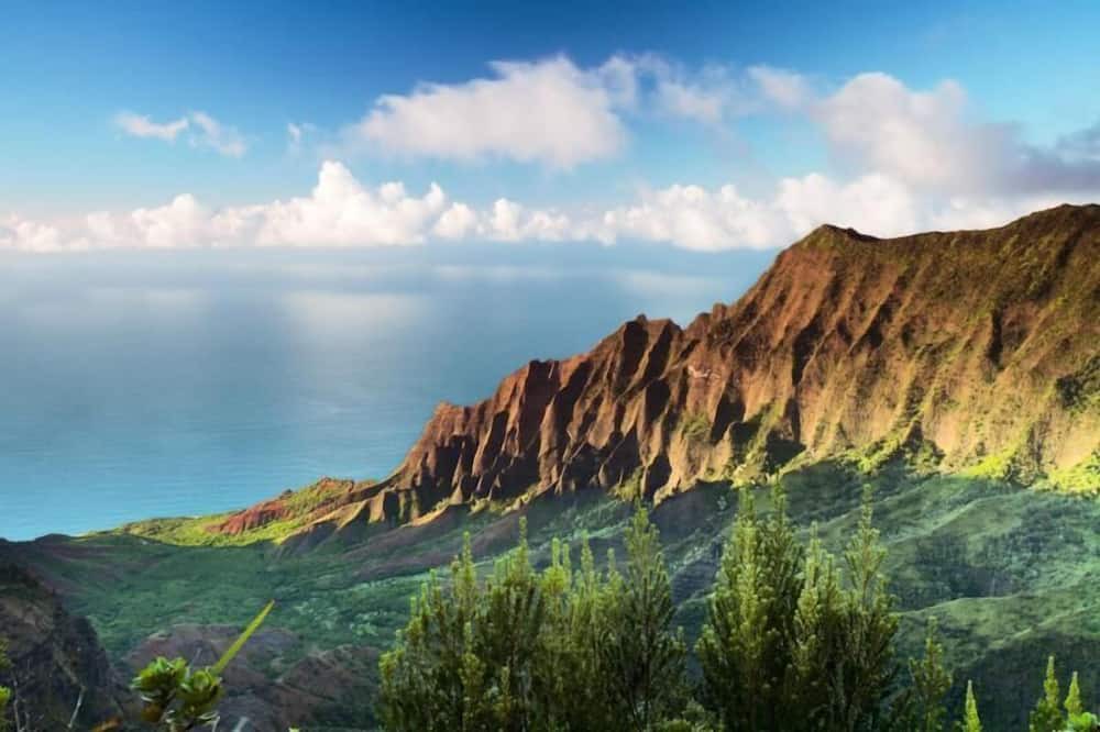 Photo of Others in Wailua