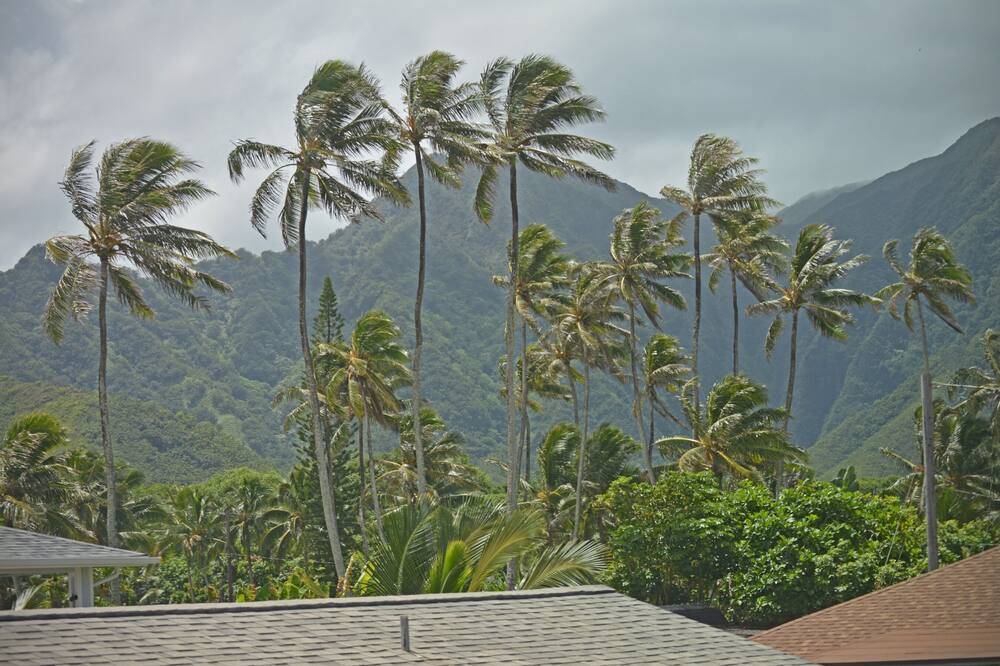 Photo of Others in Hauula