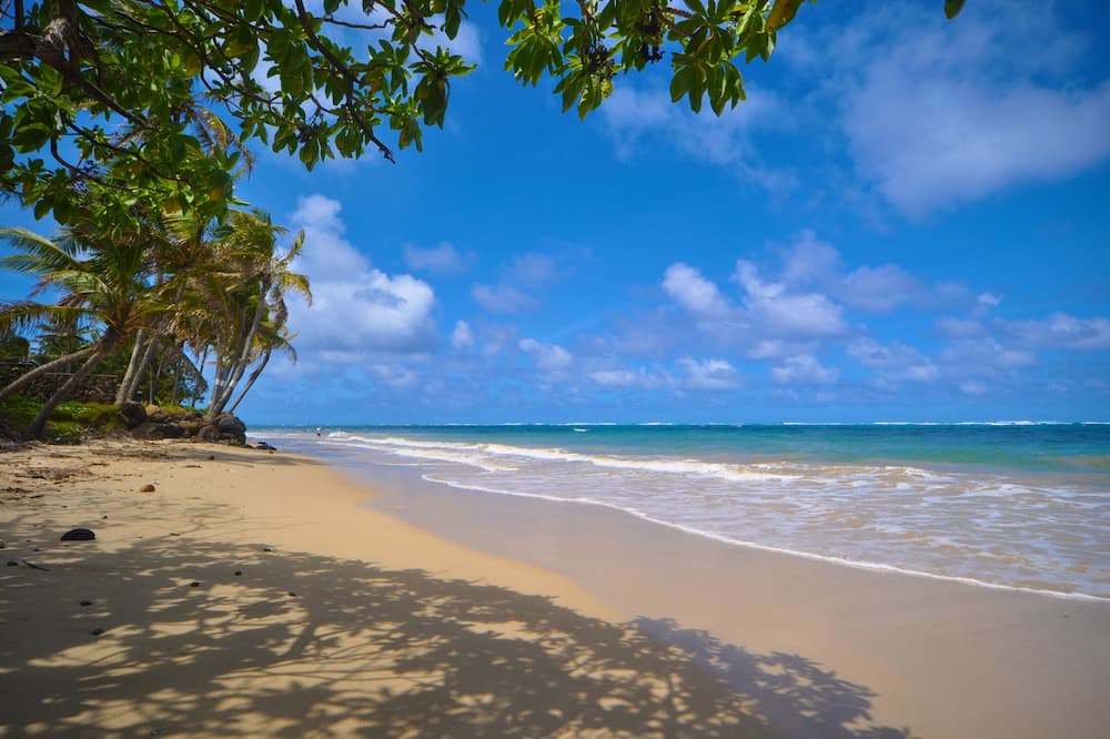 Photo of Others in Hauula