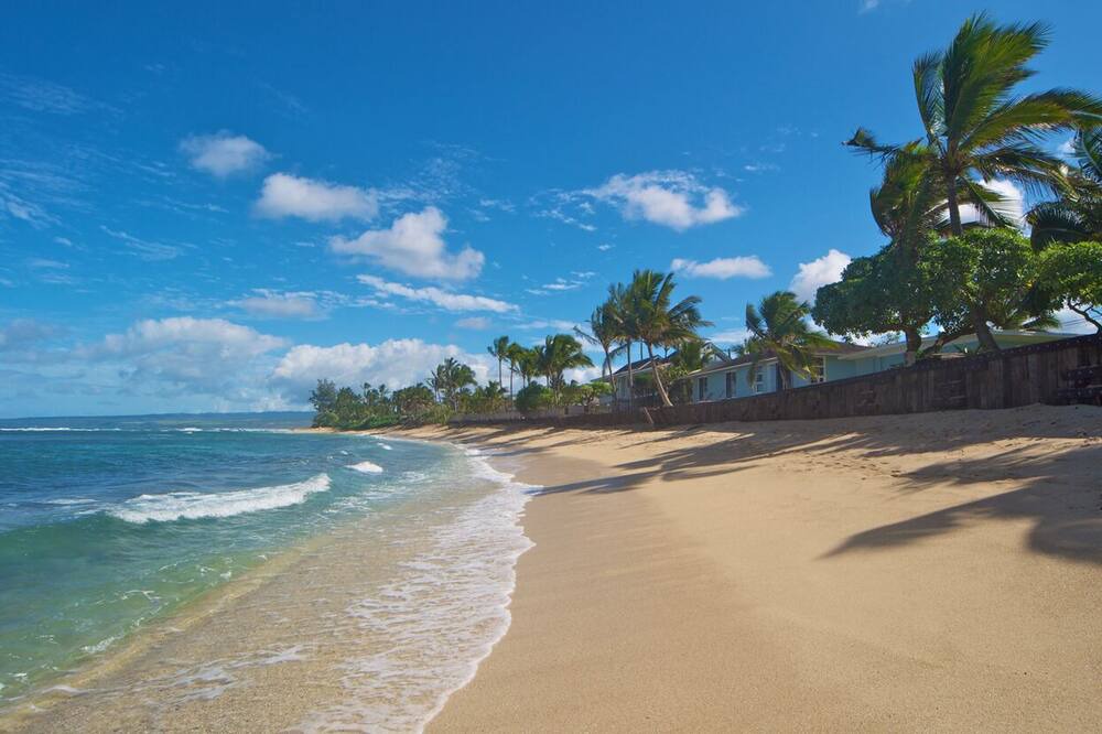 Photo of Others in Mokuleia