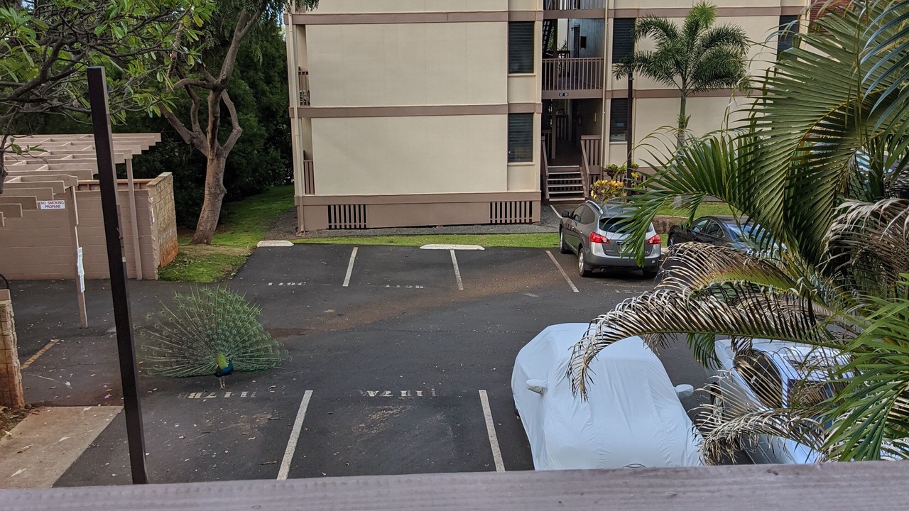Photo of Others in Makaha Valley