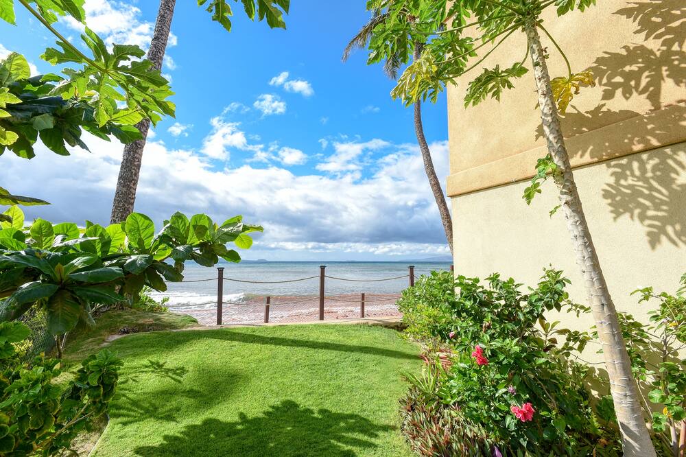 Photo of Others in Maalaea