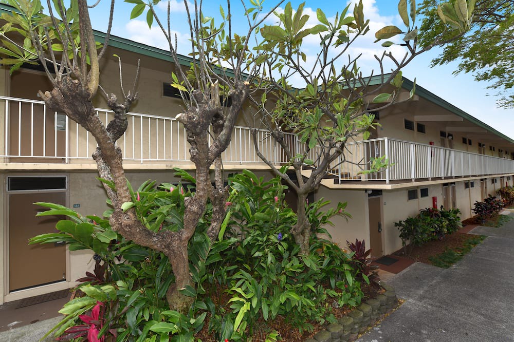 Photo of Outdoor in Napili