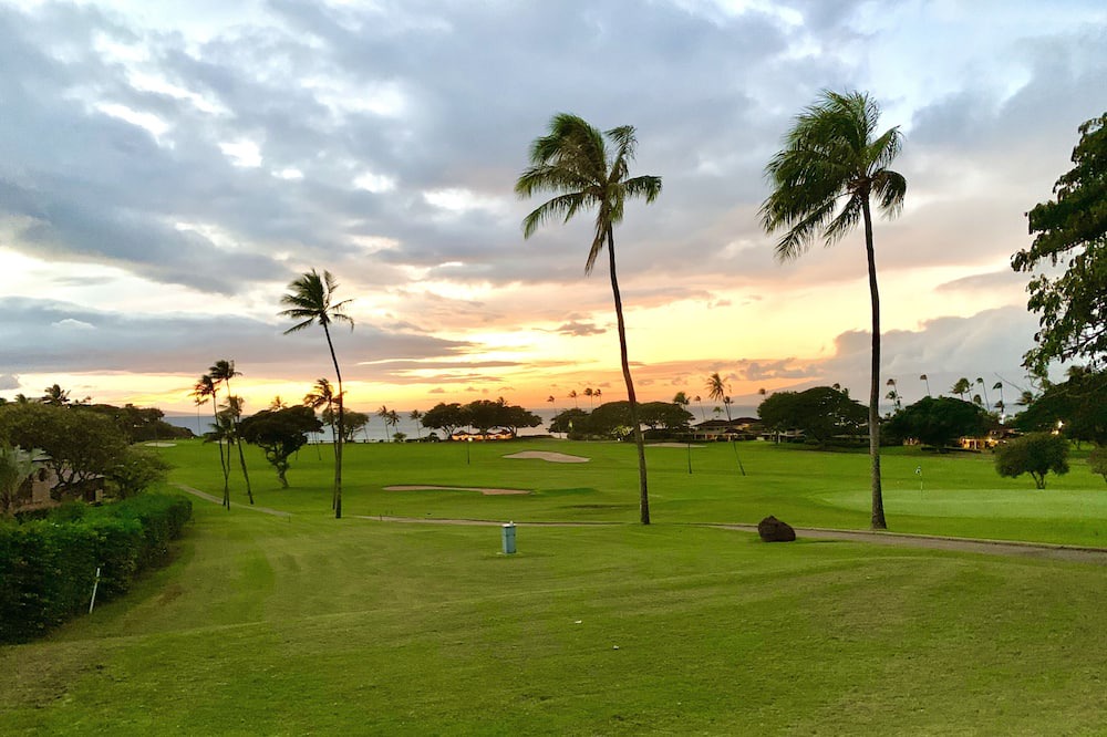 Photo of Others in Kaanapali