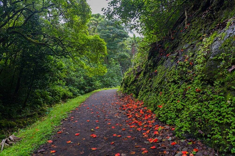 Photo of Outdoor in Pauwela