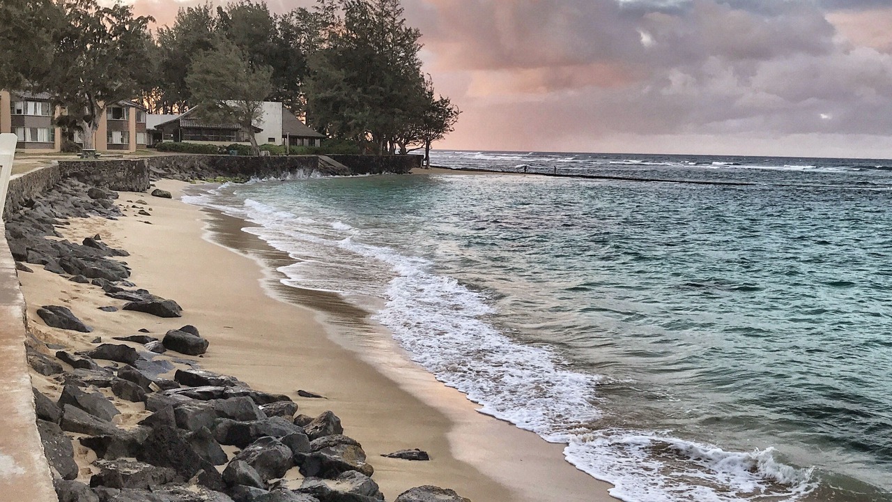 Photo of Others in Waialua