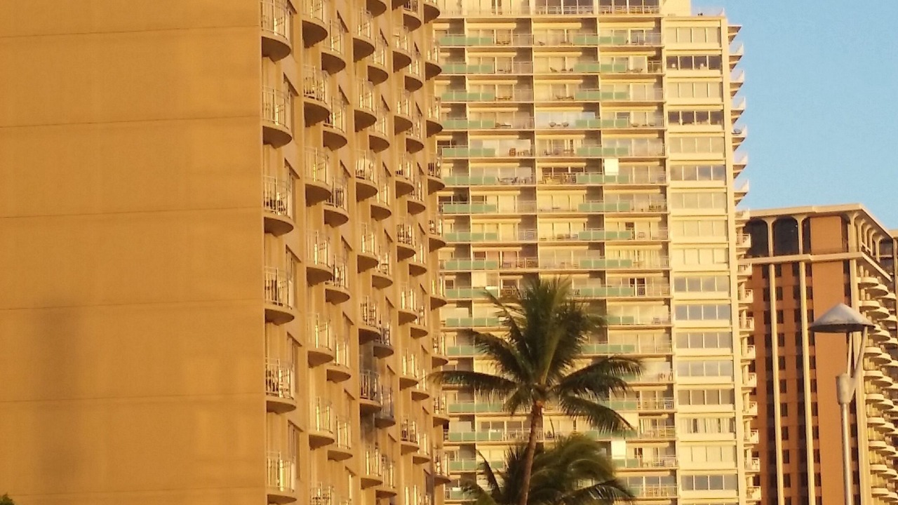 Photo of Outdoor in McCully - Moiliili