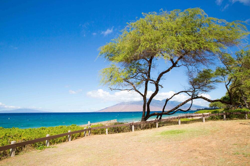Photo of Others in Kihei