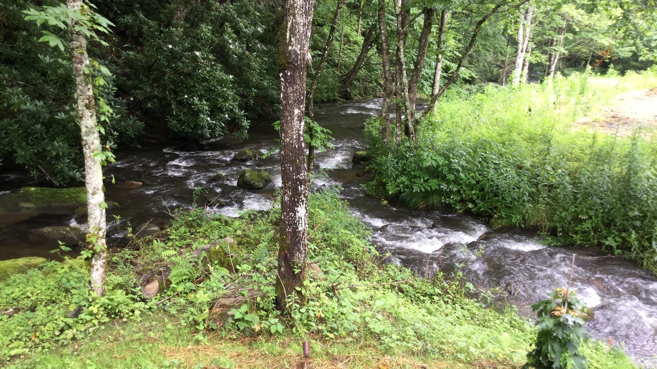 Photo of Outdoor in Topton