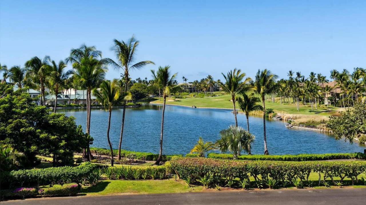 Photo of Outdoor in Waikoloa