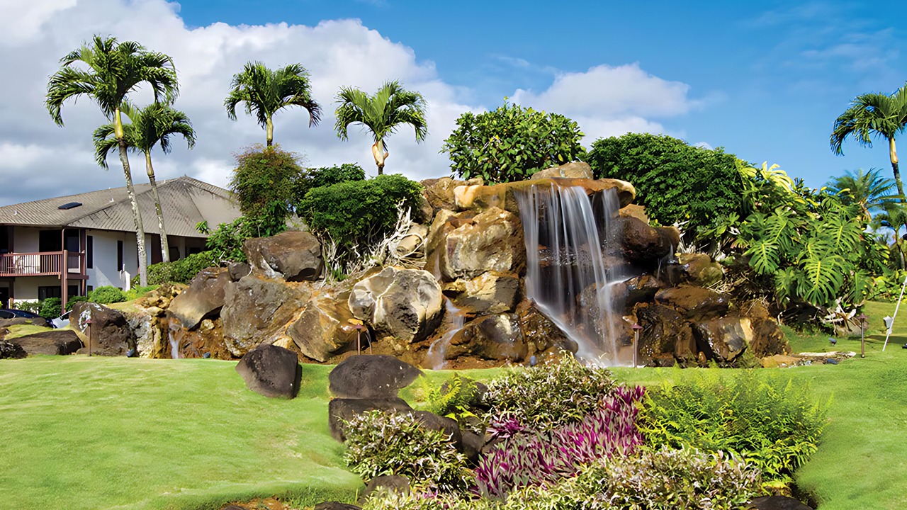 Photo of Outdoor in Princeville
