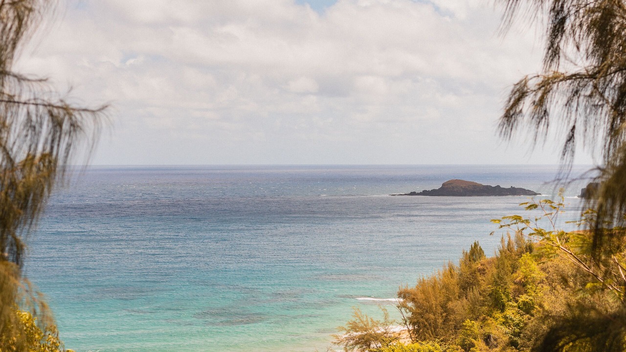 Photo of Others in Princeville