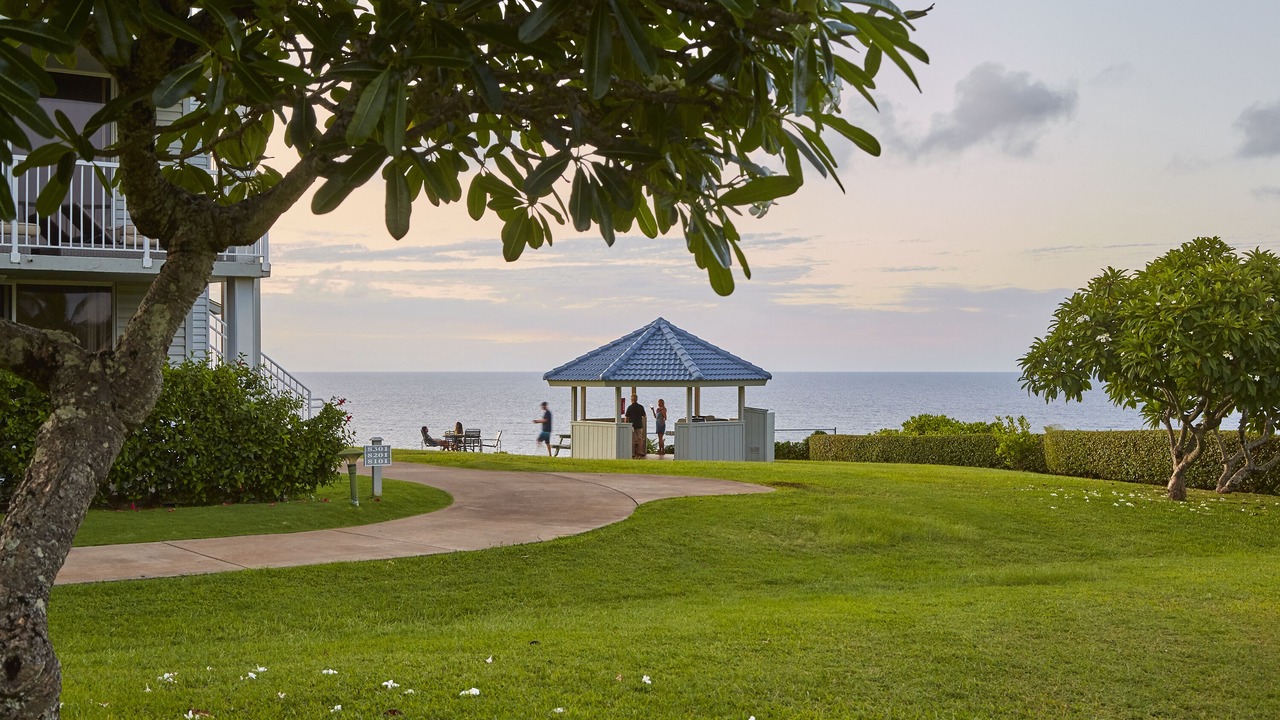 Photo of Outdoor in Princeville
