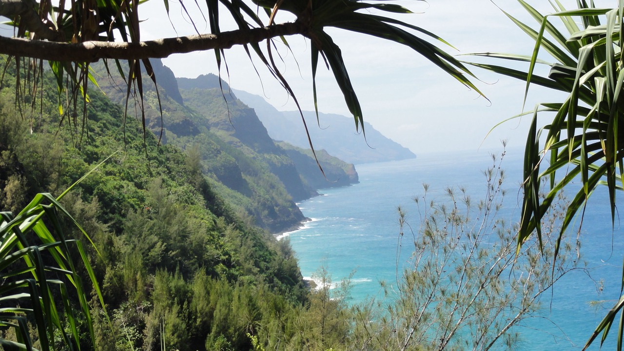 Photo of Others in Wailua
