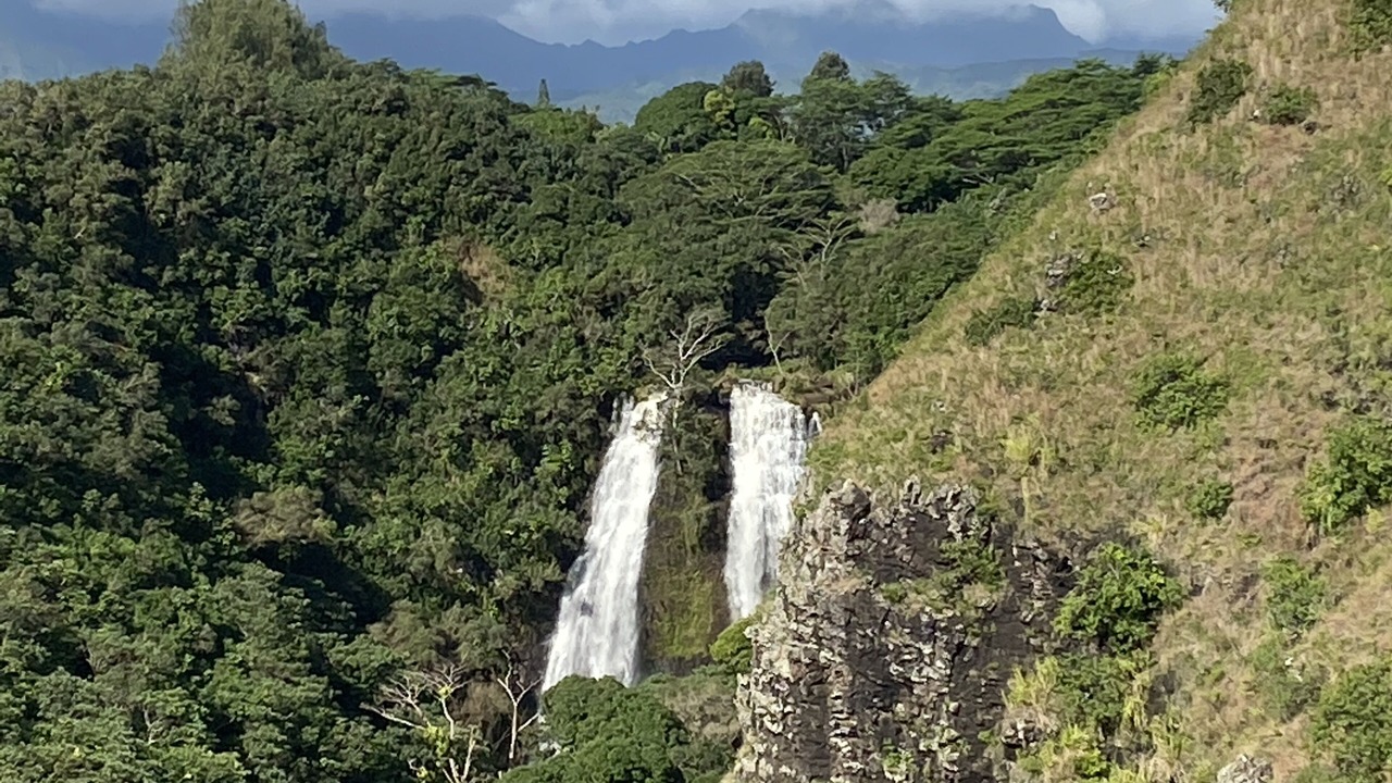 Photo of Others in Wailua