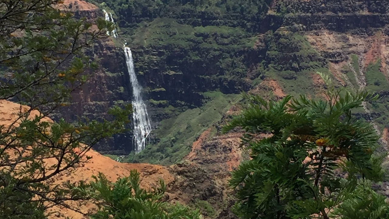 Photo of Others in Wailua