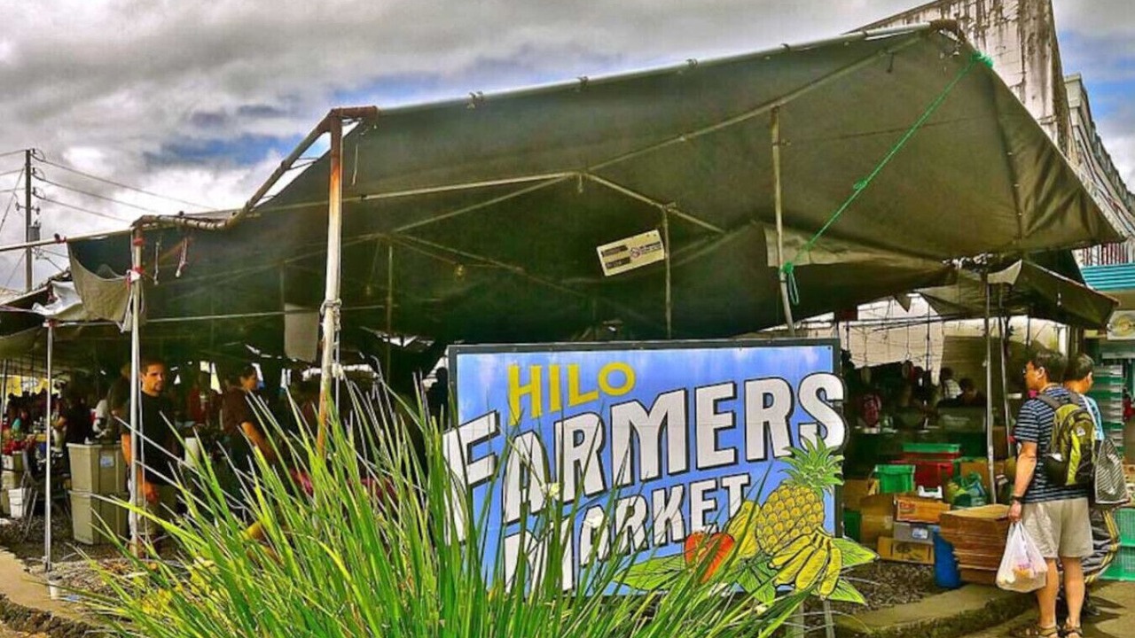 Photo of Others in Hilo
