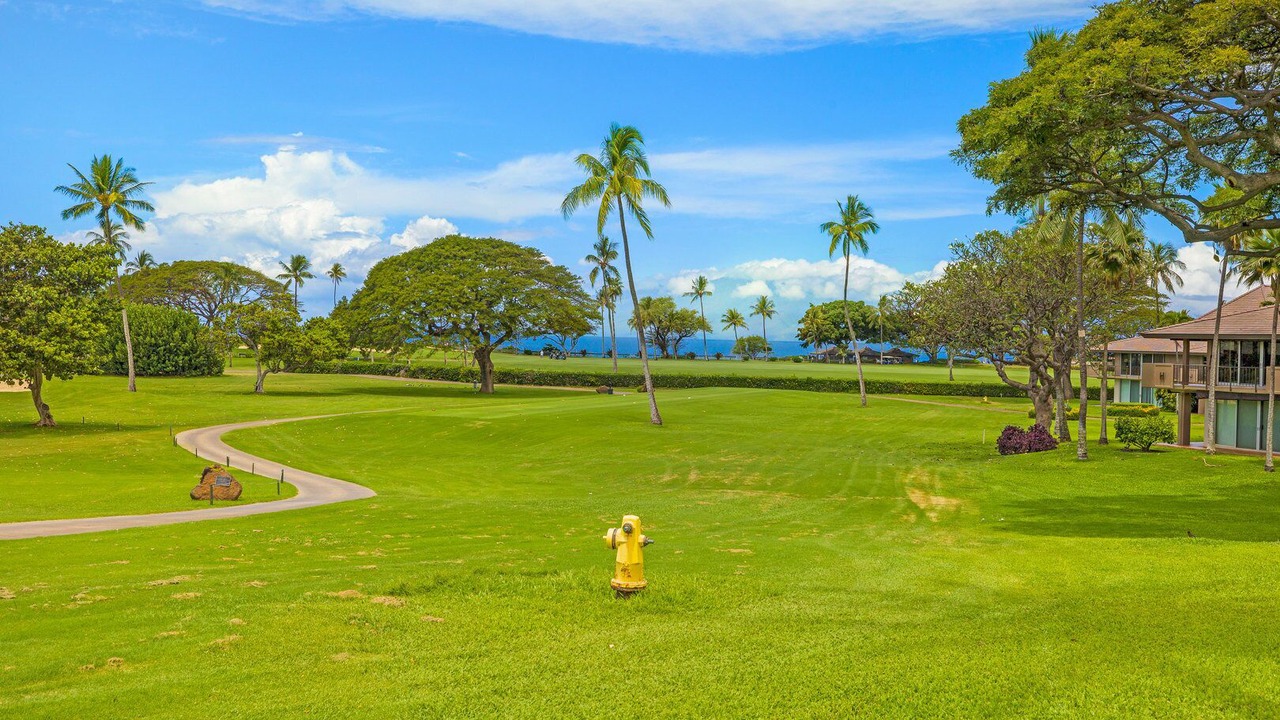 Photo of Others in Kaanapali