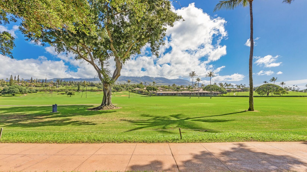 Photo of Others in Kaanapali