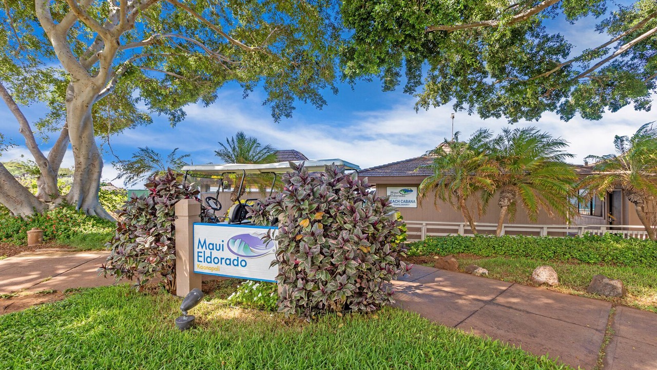 Photo of Others in Kaanapali