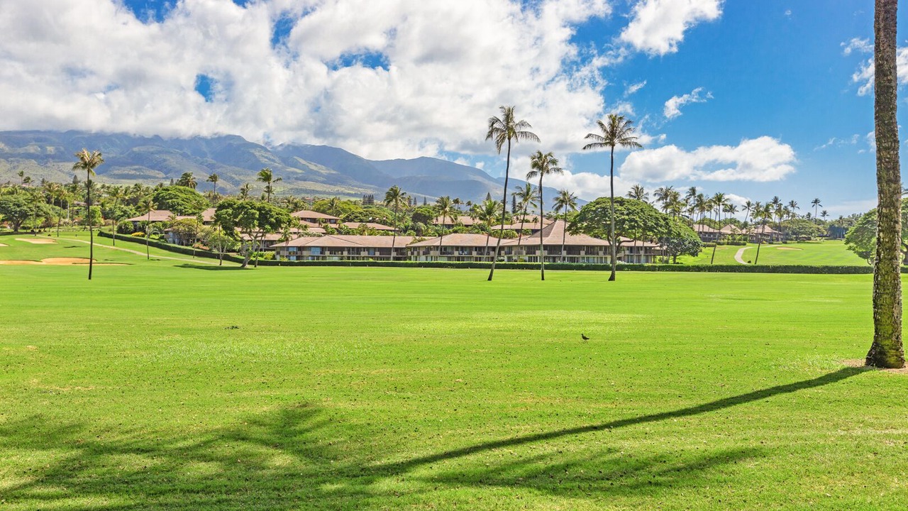 Photo of Others in Kaanapali