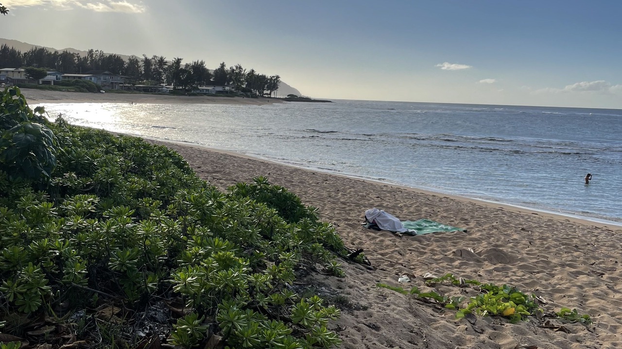 Photo of Others in Waialee