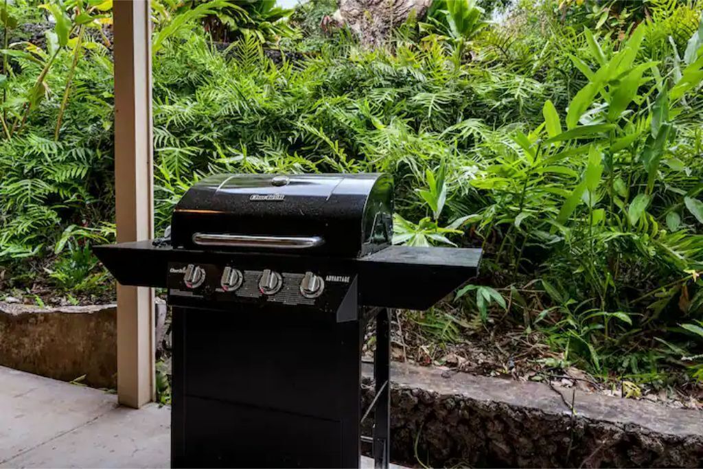 Photo of Outdoor in Captain Cook