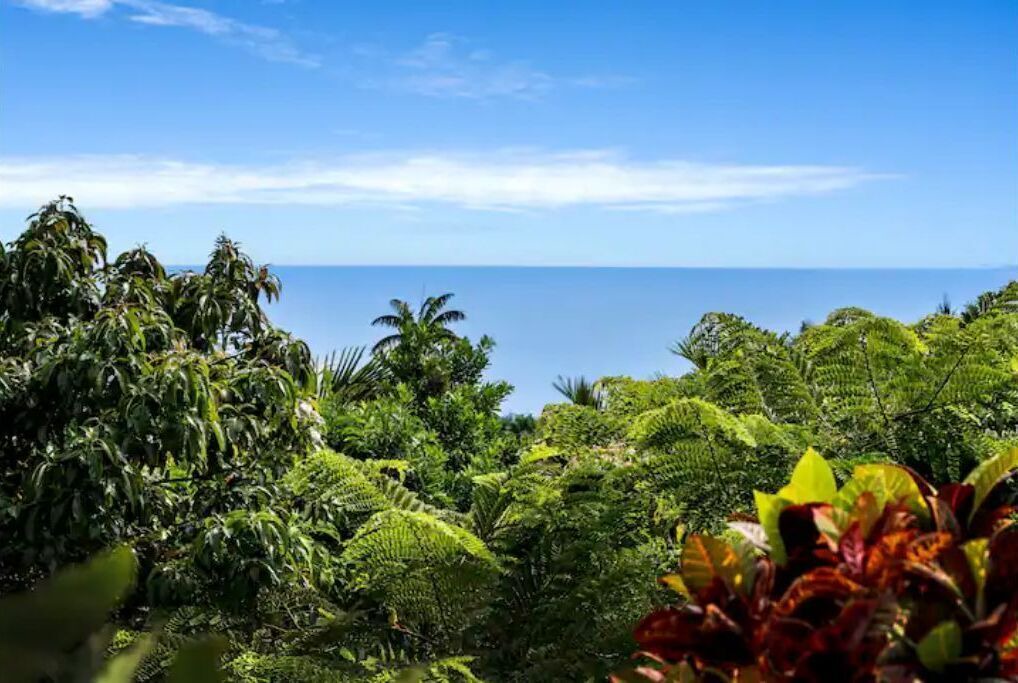 Photo of Outdoor in Captain Cook