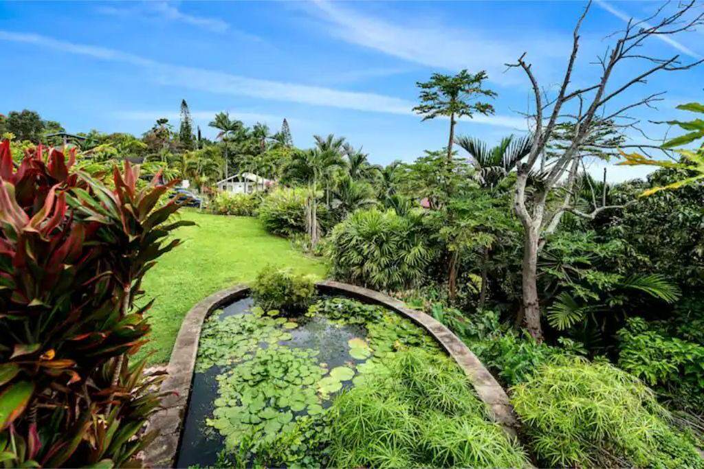 Photo of Outdoor in Captain Cook