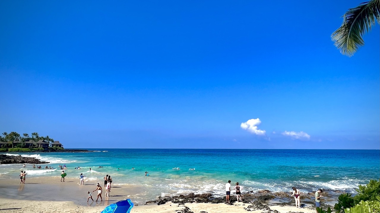 Photo of Others in Kahaluu Bay