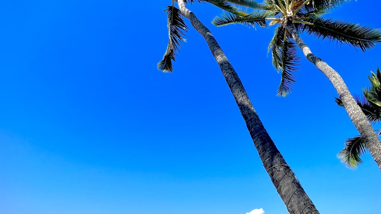 Photo of Others in Kahaluu Bay