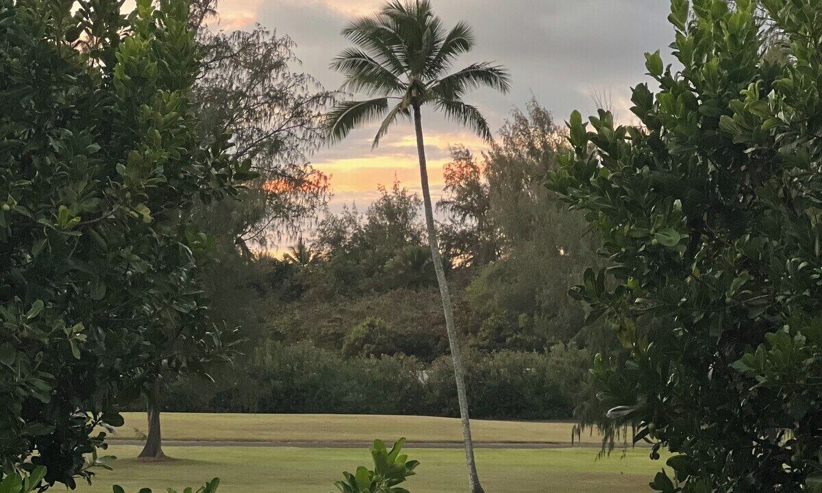 Photo of Others in Kahuku