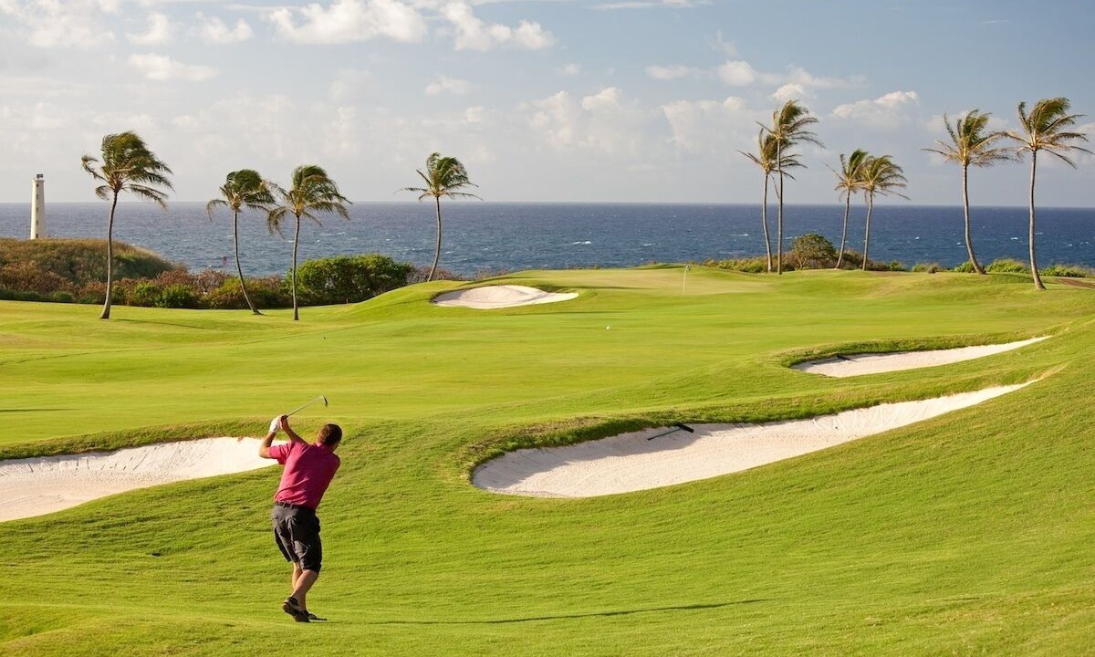 Photo of Others in Poipu