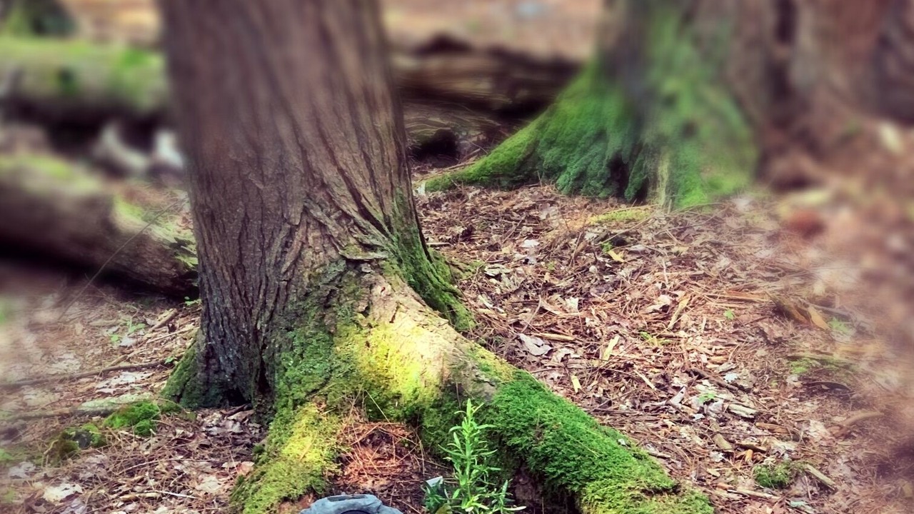 Photo of Outdoor in Richmond