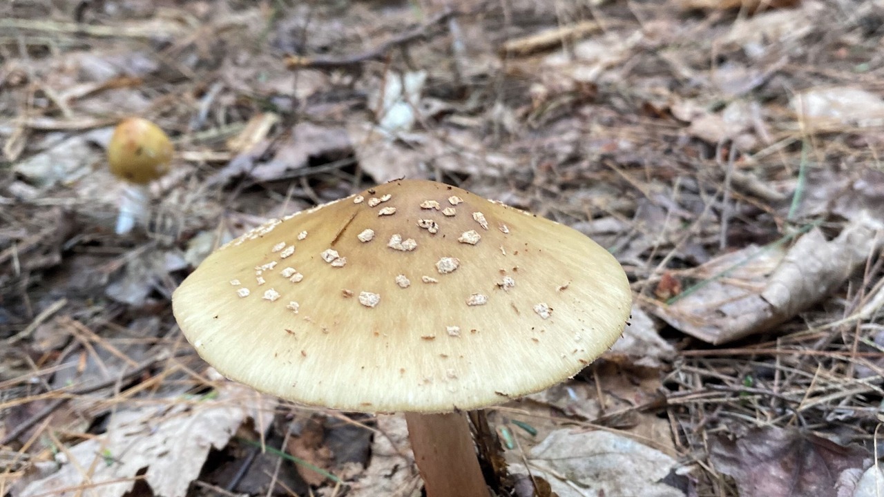 Photo of Outdoor in Richmond