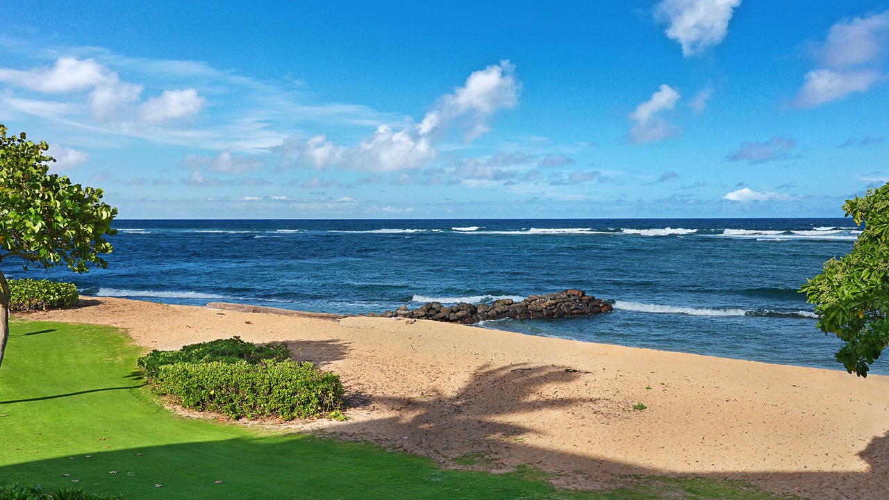 Photo of Others in Wailua