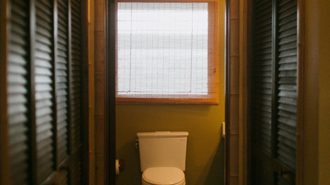 Photo of Bathroom in Kalaheo