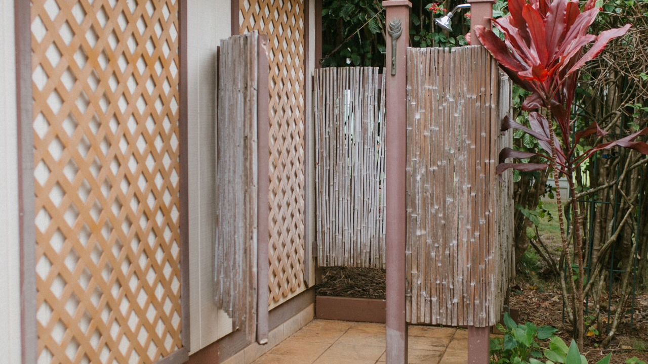 Photo of Outdoor in Kalaheo