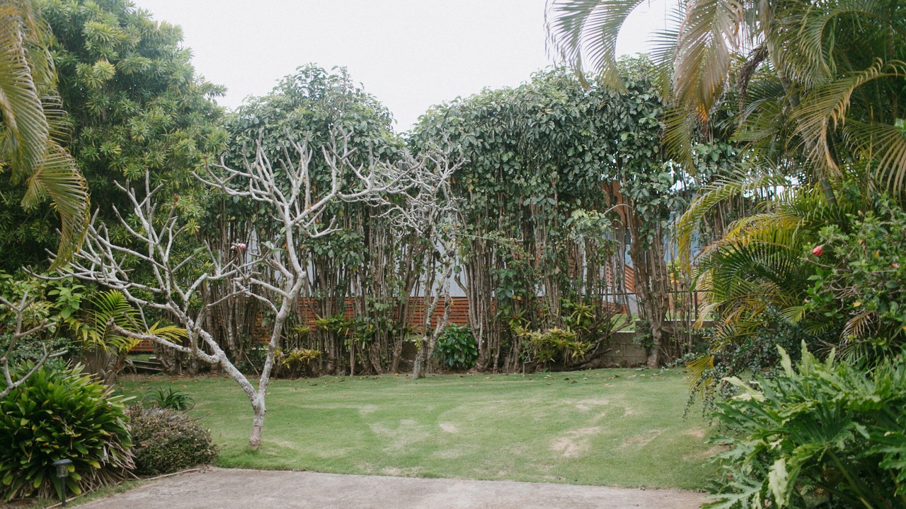 Photo of Outdoor in Kalaheo